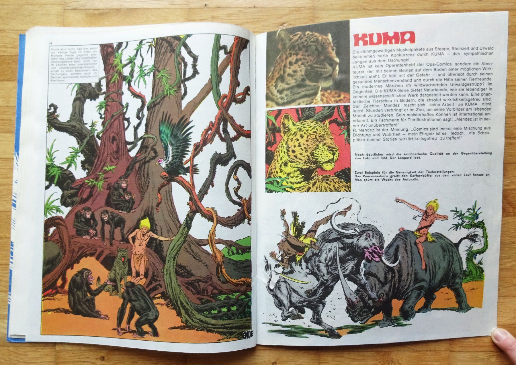Comics: Kumas Kampf, Action Album – Gebraucht aus St.Gallen von Paddington11 9