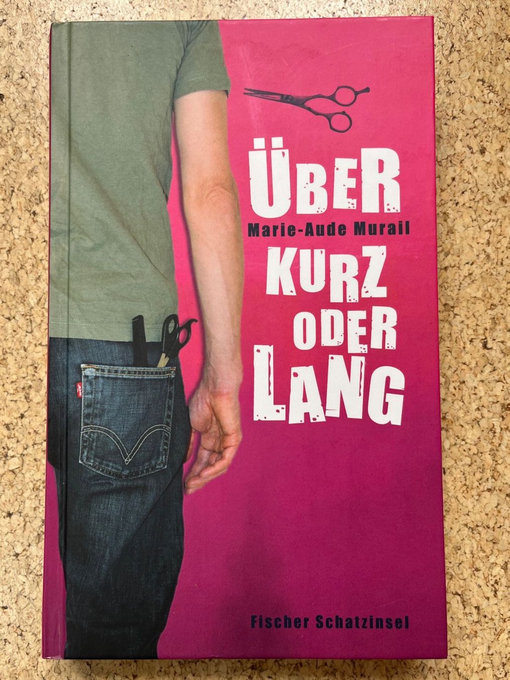 Libri: Gebundenes Buch "Über kurz oder lang", Marie-Aude Murail – Usato da Grosswangen venduto da Vita500