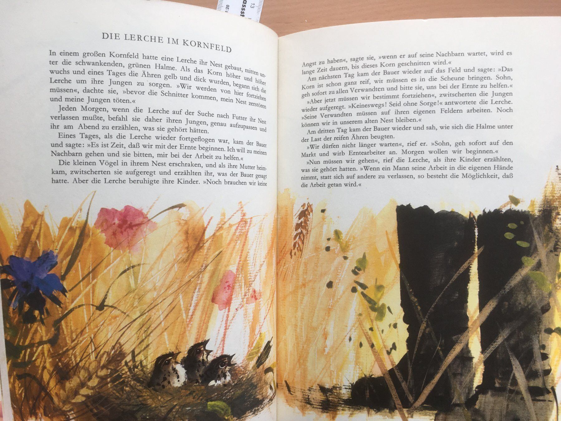 Libri: Das grosse Fabelbuch; verschiedene Autor – Usato da Grenchen venduto da Kogi7 7