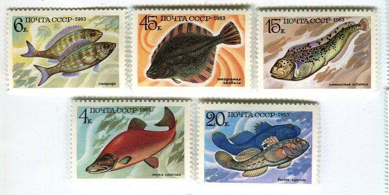 Alle Briefmarken: Briefmarken "Fische". UdSSR – Neu und originalverpackt aus Basel von Butsch5