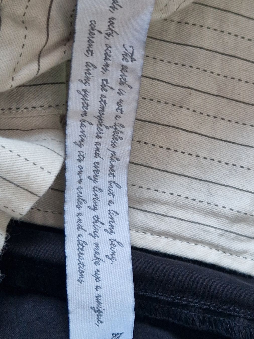Pantaloni: Cargo Hose Masons's IT 52 NEU – Nuovo (secondo la descrizione) da Lichtensteig venduto da Cocabana_16 4
