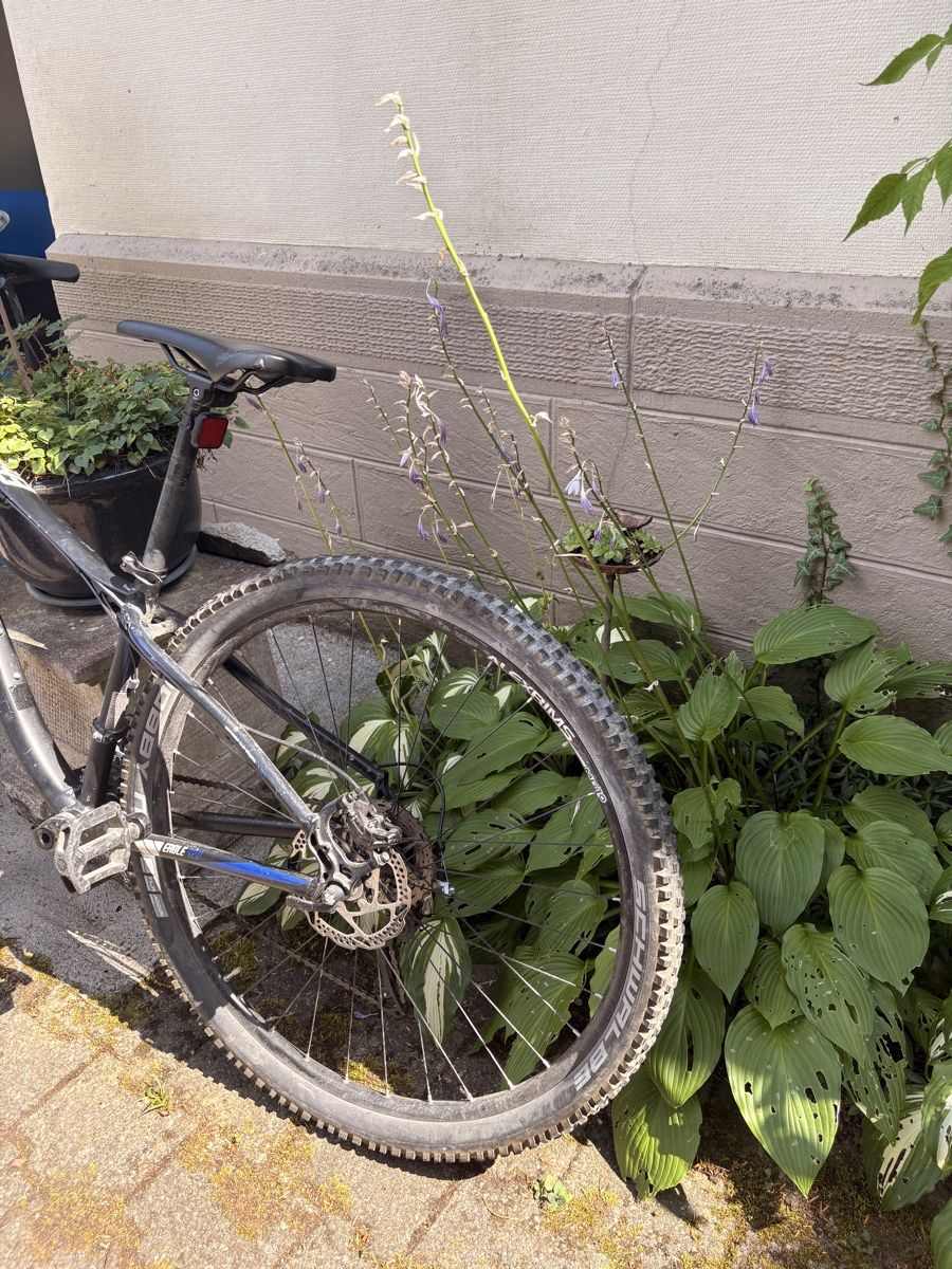 Wheeler Biciclette: Mountainbike Wheeler Eagle 420 MTB schwarz – Usato da Gelterkinden venduto da Bearick 3