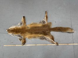 Schweizer Rotfuchs Fuchsfell „neuwertig“ NR4