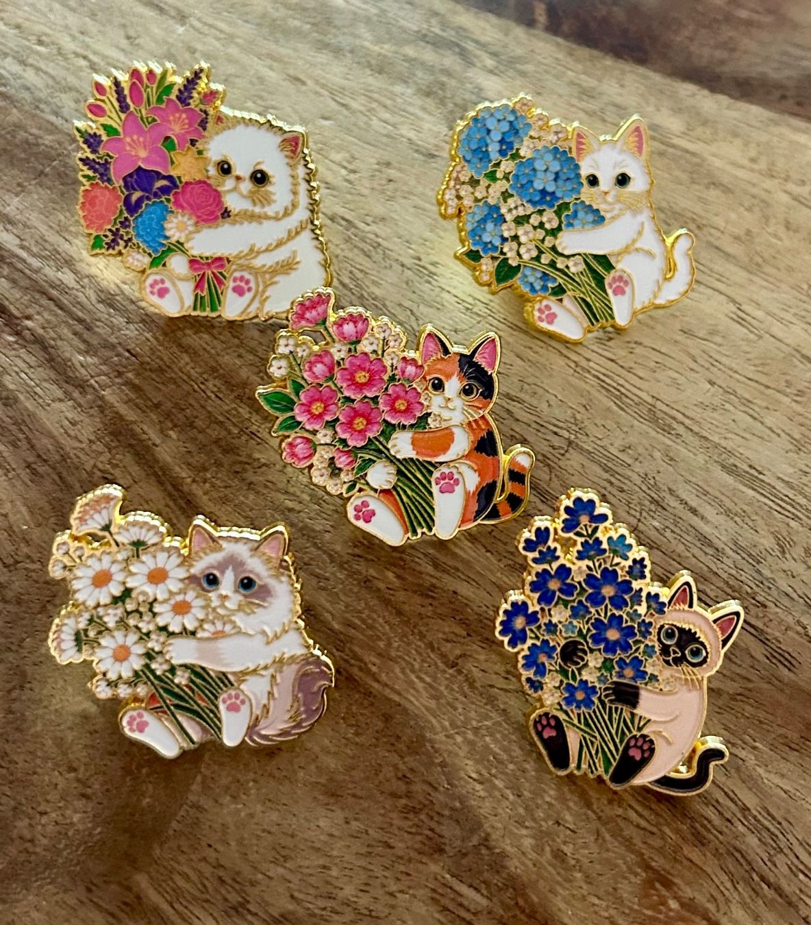 Plaquettes & Badges: Set 5x Pin Katzen – Neuf avec emballage d'origine à Geneve par vane267