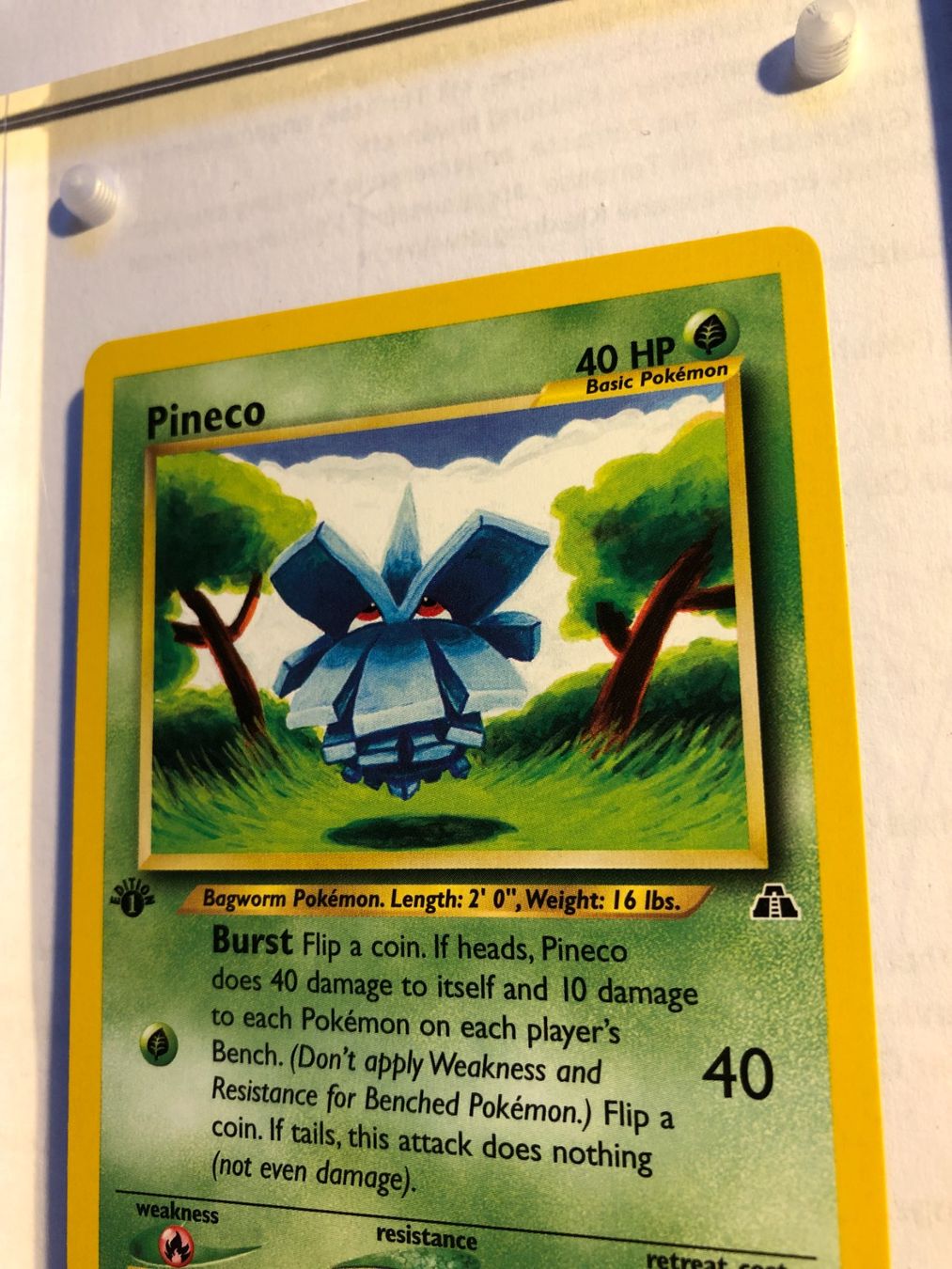 Carte collezionabili: Pineco 1st Neo Discovery - MINT - ab 1.- – Usato da Giubiasco venduto da dan_pr8b 3