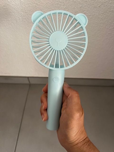 Ventilatori: Kleiner Hand-Ventilator – Usato da Neerach venduto da romiping 9