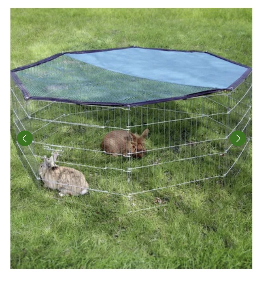 Gabbie, trasporto & Sicurezza: Outdoor Rabbit Pen / cage – Usato da Maur venduto da CLTT-Grueter