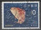 JAPAN, seltener Fisch (8