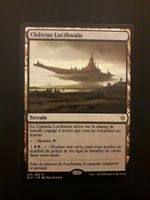 MTG - Château Locthwain