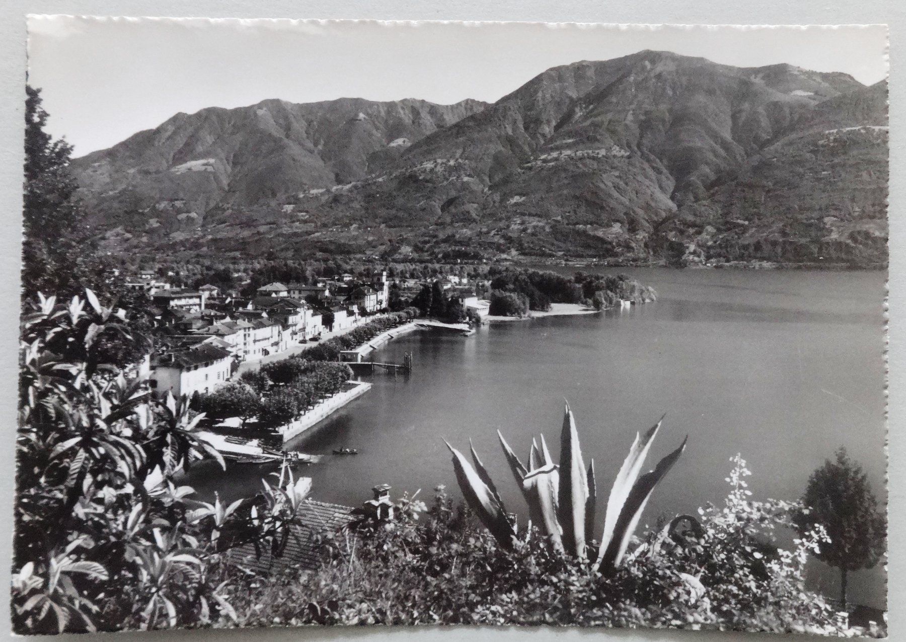 Ansichtskarten: Ascona, Panorama (Lago Maggiore) – Gebraucht aus Fétigny von Billy2miny