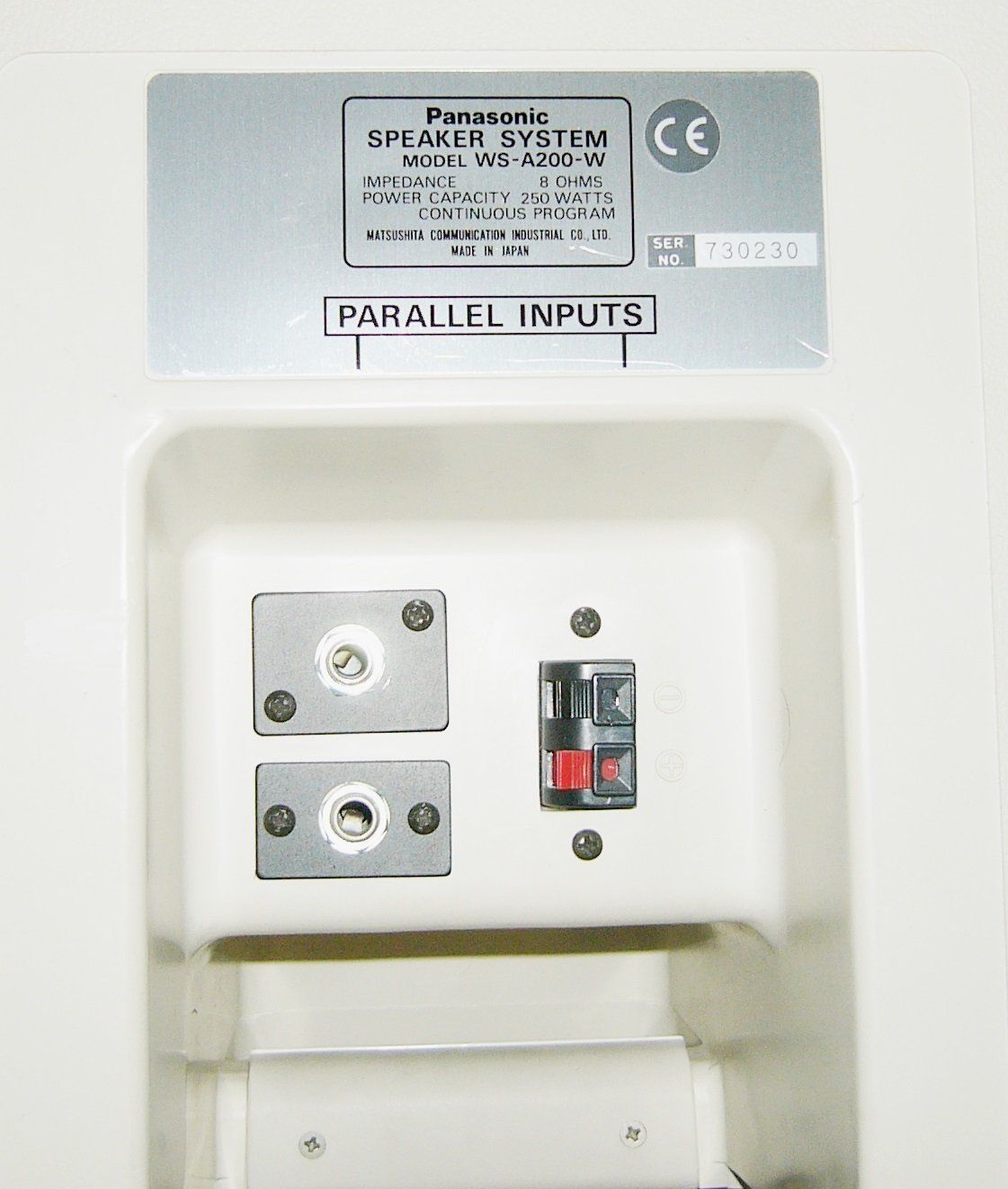 Strumenti musicali: 2 St.Panasonic Ramsa WS-A200 – Usato da Wittenbach venduto da C960 1