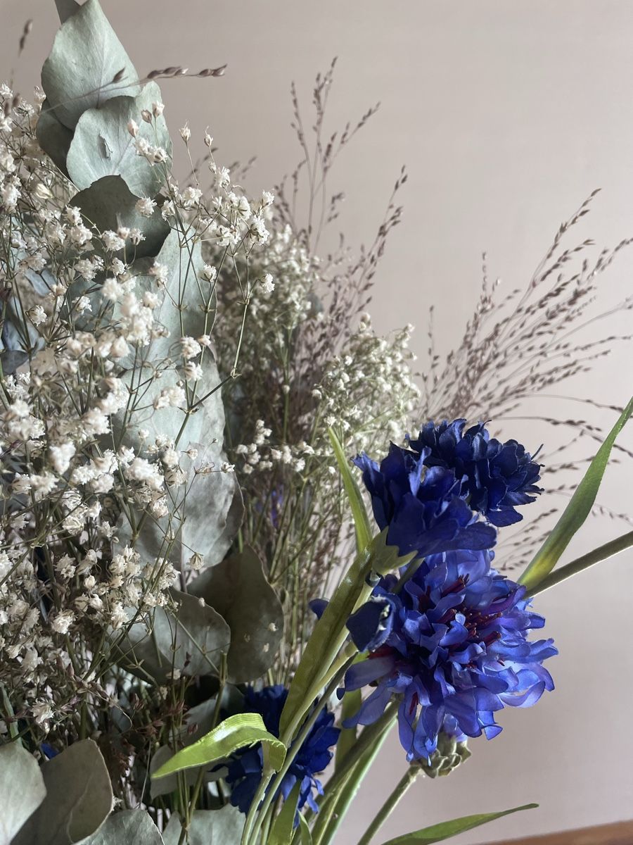 Piante & sementi: Kornblumen  – Usato da Freidorf TG venduto da ibipatria 1