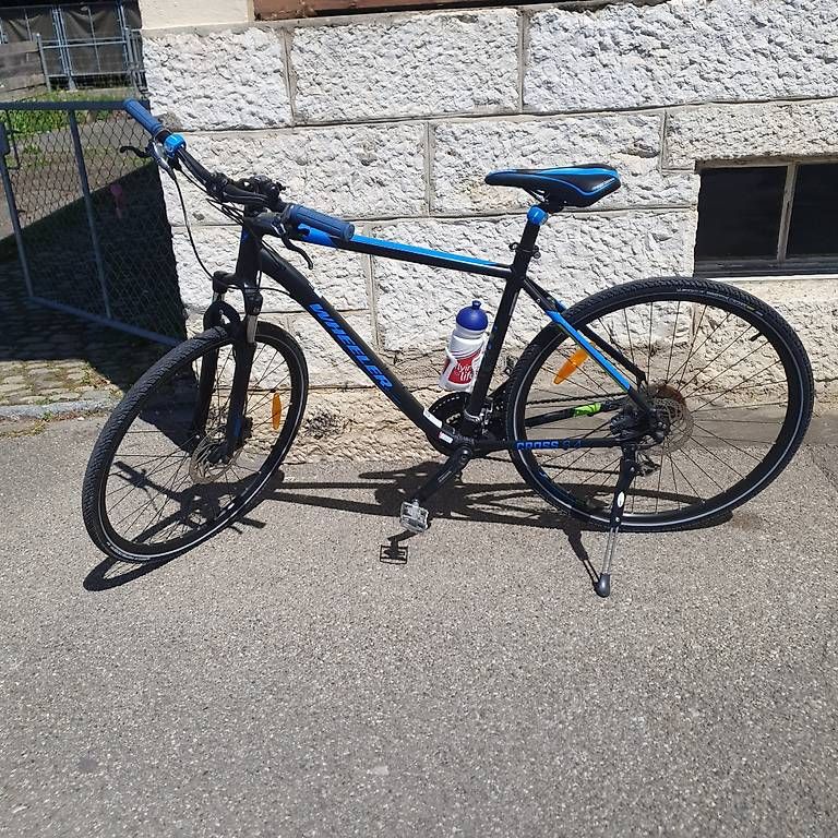 Wheeler Biciclette: Wheeler – Usato da Arlesheim venduto da Goldfisch47