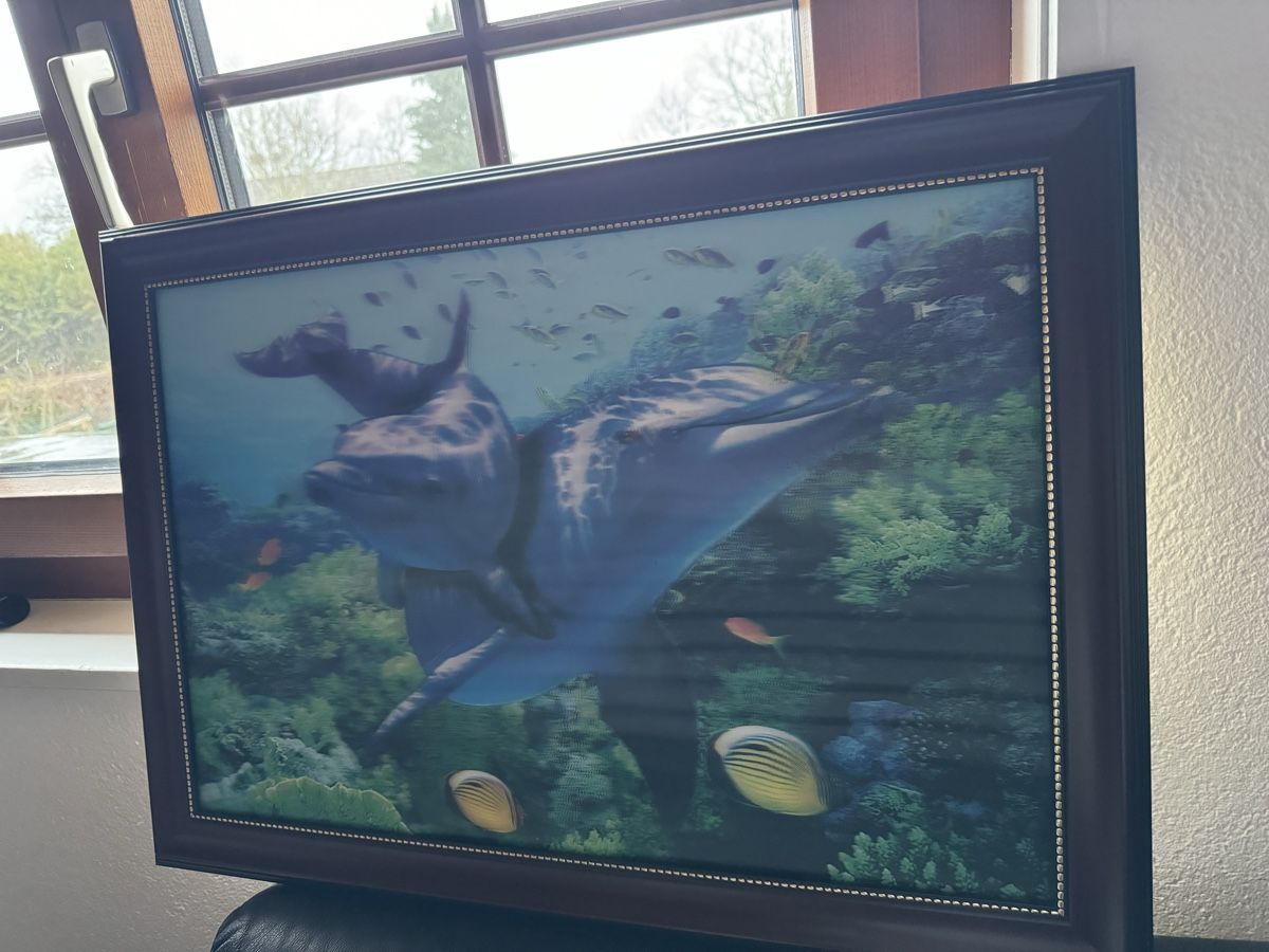 Giocattoli: Tableau 3D dauphin – Usato da Mont-sur-Lausanne venduto da Fun_Case 3