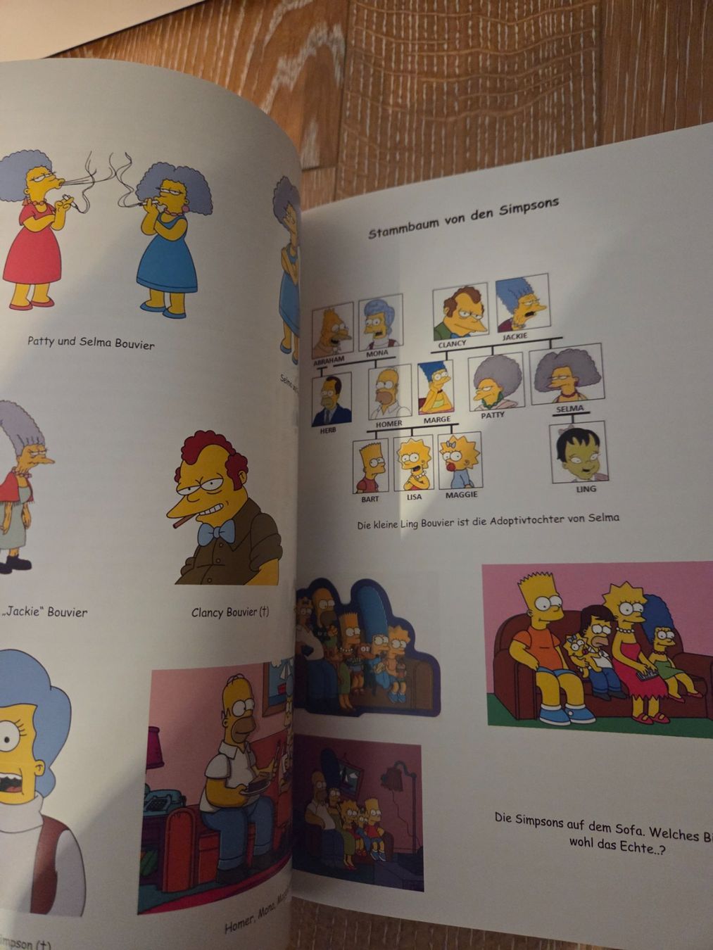Libri: Die Simpsons, alle Figuren erklärt – Nuovo (secondo la descrizione) da Baar venduto da Liebherrbagger 7