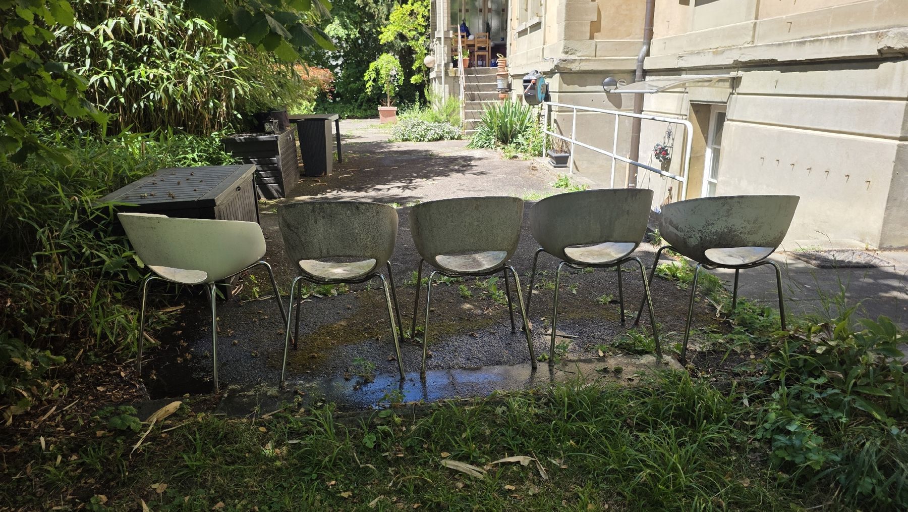 Chaises: sintesi orbit 5x Stuhl/Stühle – D'occasion à Bern par cronico 1