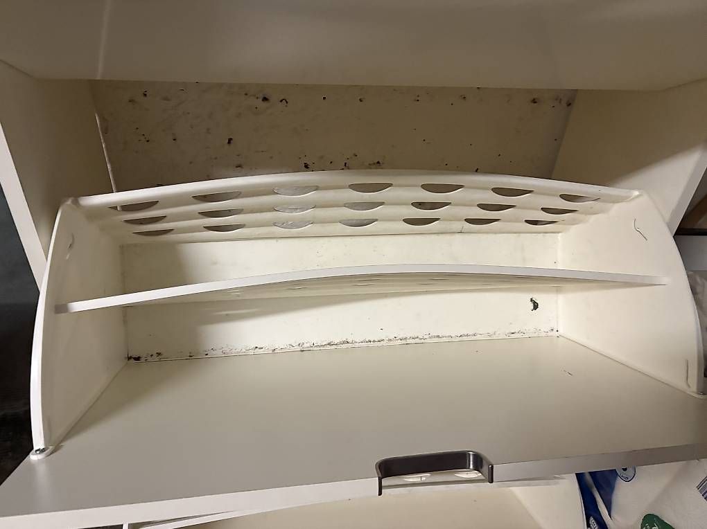 Armadi: Schuhschrank  – Usato da Basel venduto da abk_b8x9 1