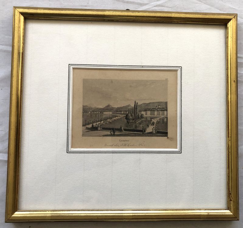 Incisioni: Johann Heinrich Locher (1810-1892) - Stich - Genève – Usato da Schaffhausen venduto da durruti