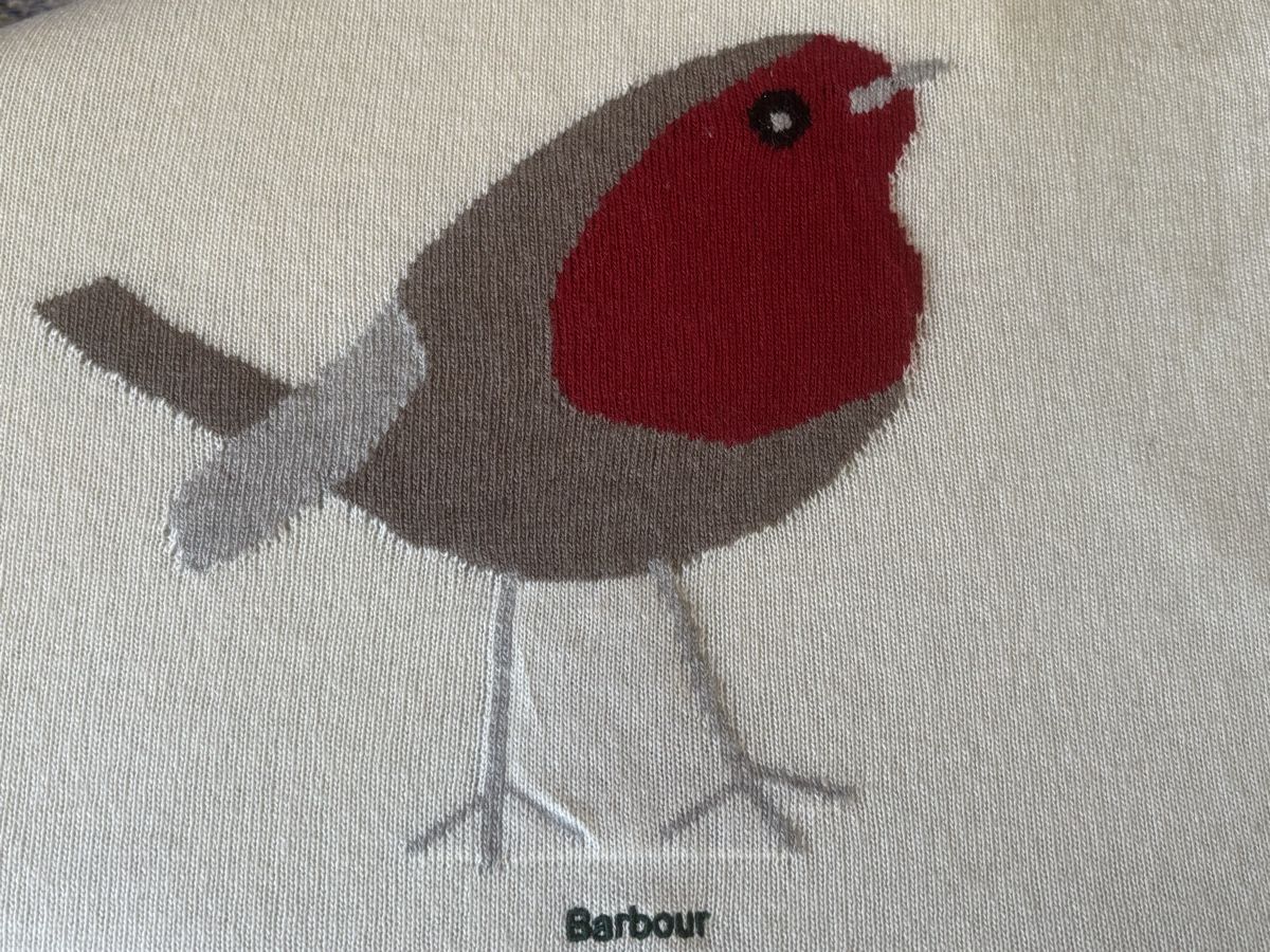 Maglioni & Felpe: Babour Pulli Original mit Robin Motiv – Nuovo (secondo la descrizione) da Pratteln venduto da sab_whk9 4