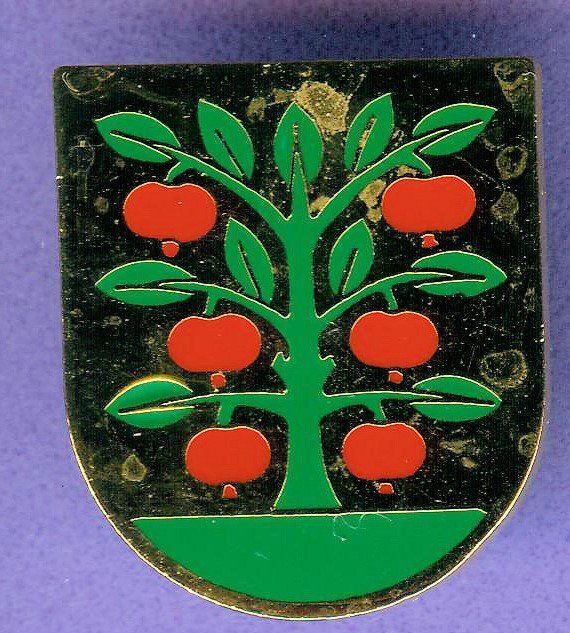 Placchette & Badge: Gemeinde Wappen  GROSSAFFOLTERN – Usato da Winterthur venduto da Sammleroase