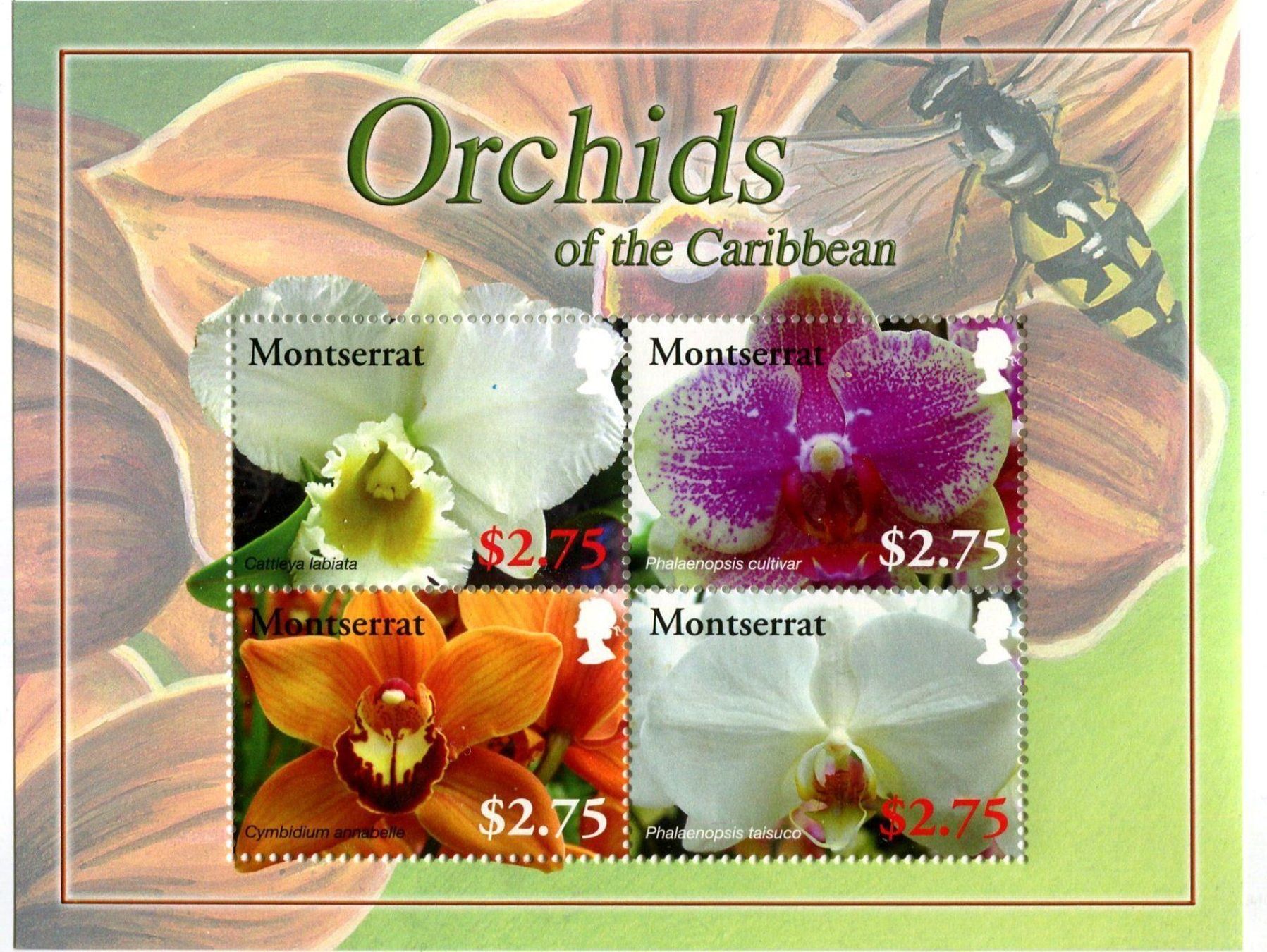 Alle Briefmarken: Block "Orchideen". Montserrat. – Neu und originalverpackt aus Basel von Butsch5