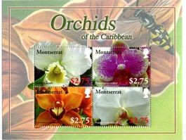 Block "Orchideen". Montserrat.
