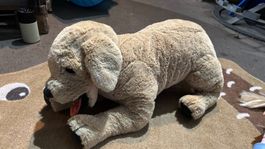 Plüsch Hund