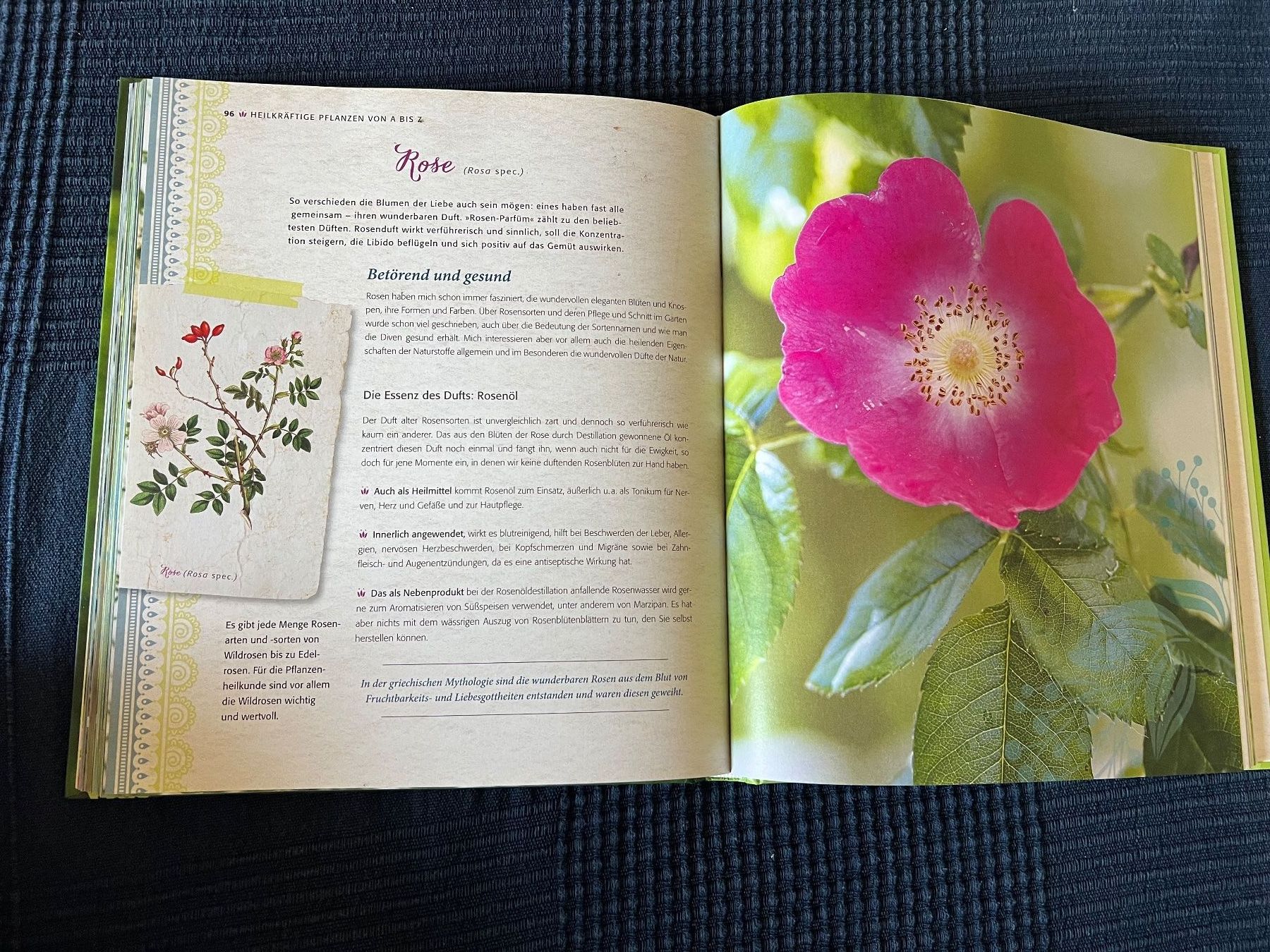 Libri: Wolfgang Funke: Der heilsame Garten – Usato da Steffisburg venduto da 9MOMO5 4