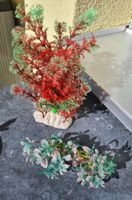 Dekoration Pflanzen fürs Aquarium