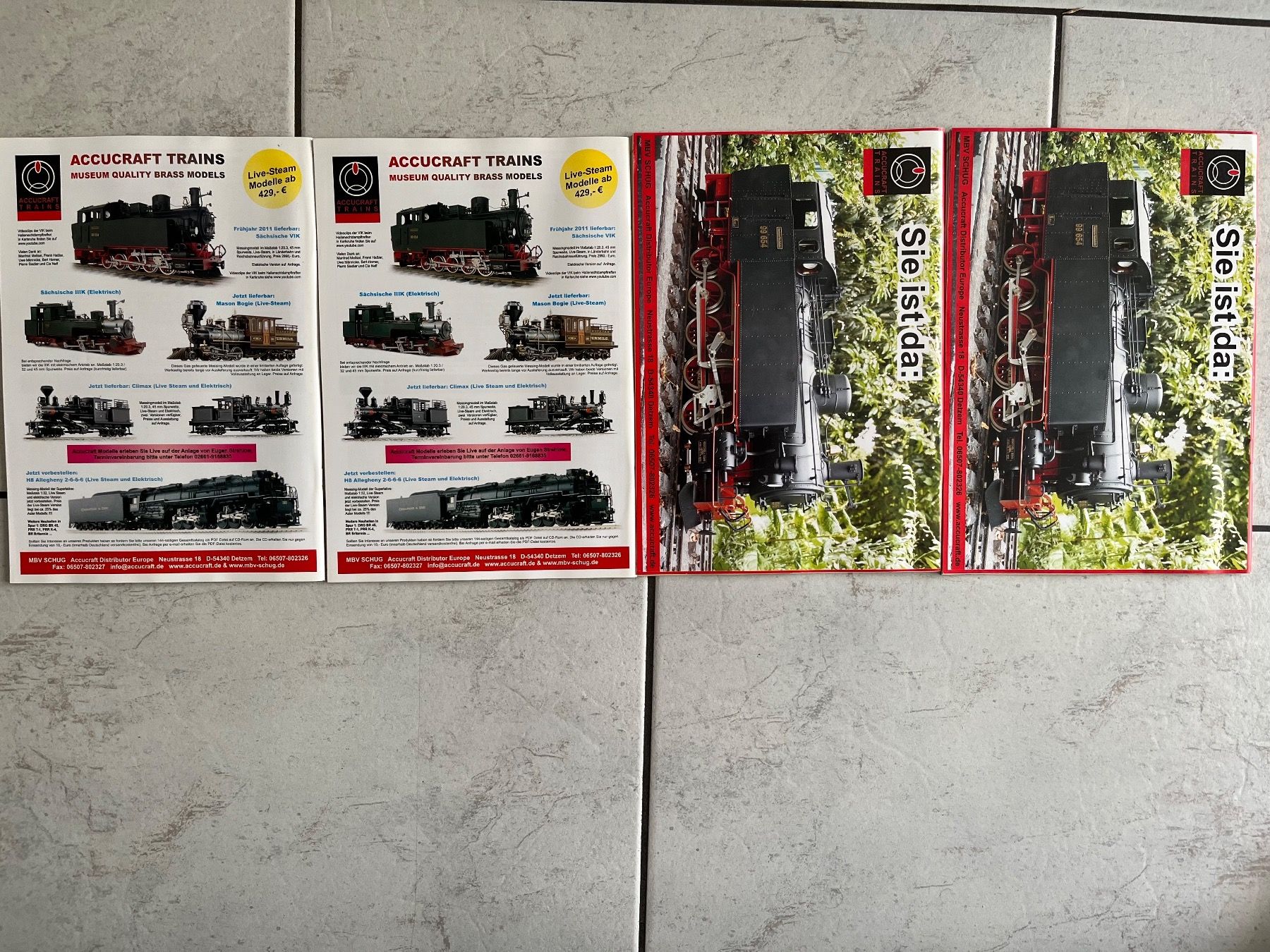 Riviste & Magazine: Gartenbahn Jahrgang 2011 – Usato da Rudolfstetten venduto da Rrst1968 1