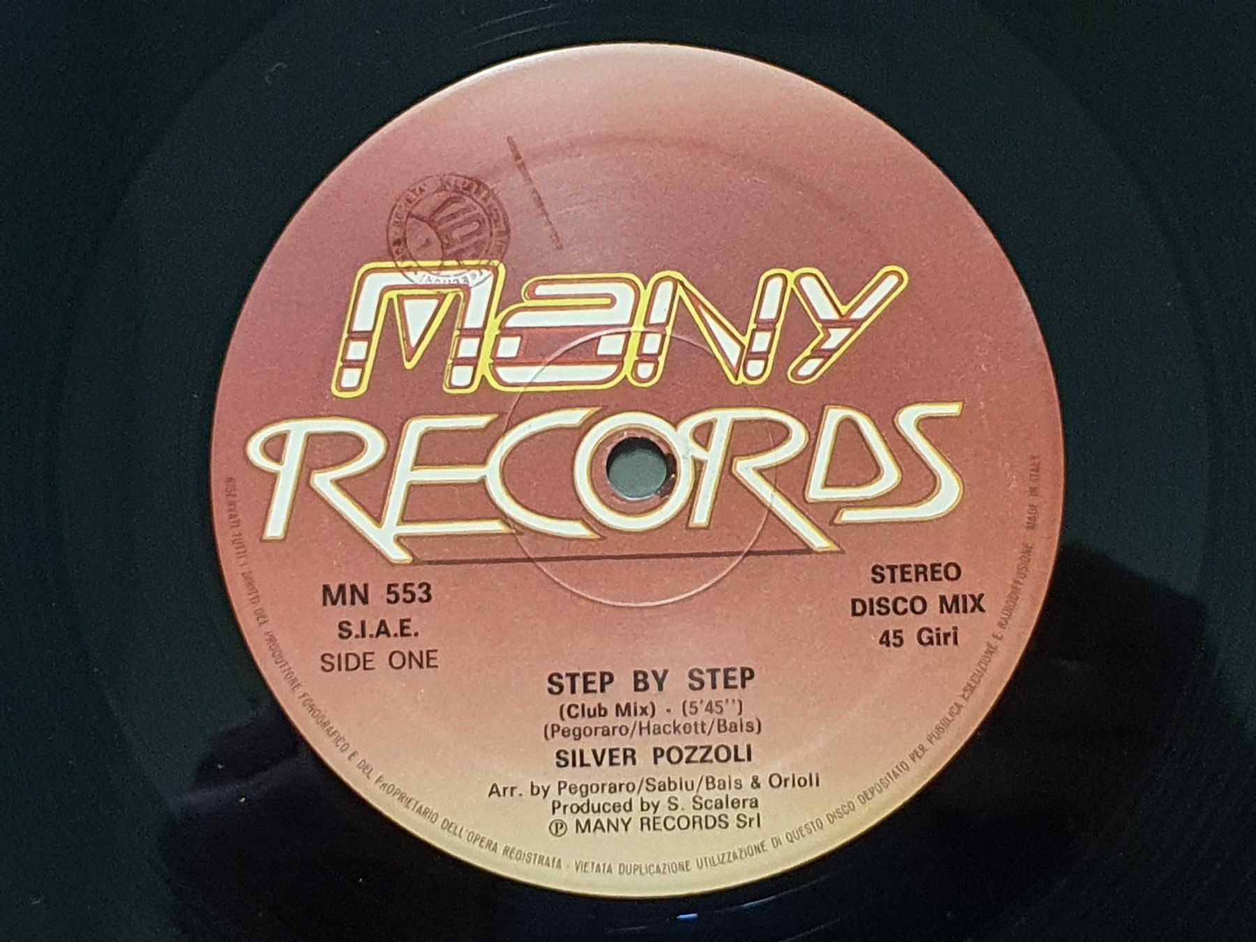 Schallplatten: Silver Pozzoli - Step By Step (Maxi Single) Extended Version – Gebraucht aus Aegerten von taxidermo 3