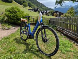 Neues E-Bike Trelago City (Landi) – Fabrikneu & Ungebraucht!