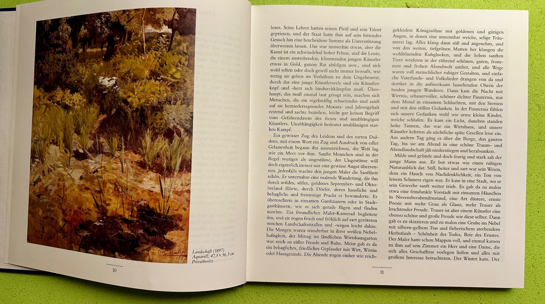 Libri: B. Echte, A. Meier: Die Brüder Karl und Robert Walser – Usato da Zürich venduto da allp 3