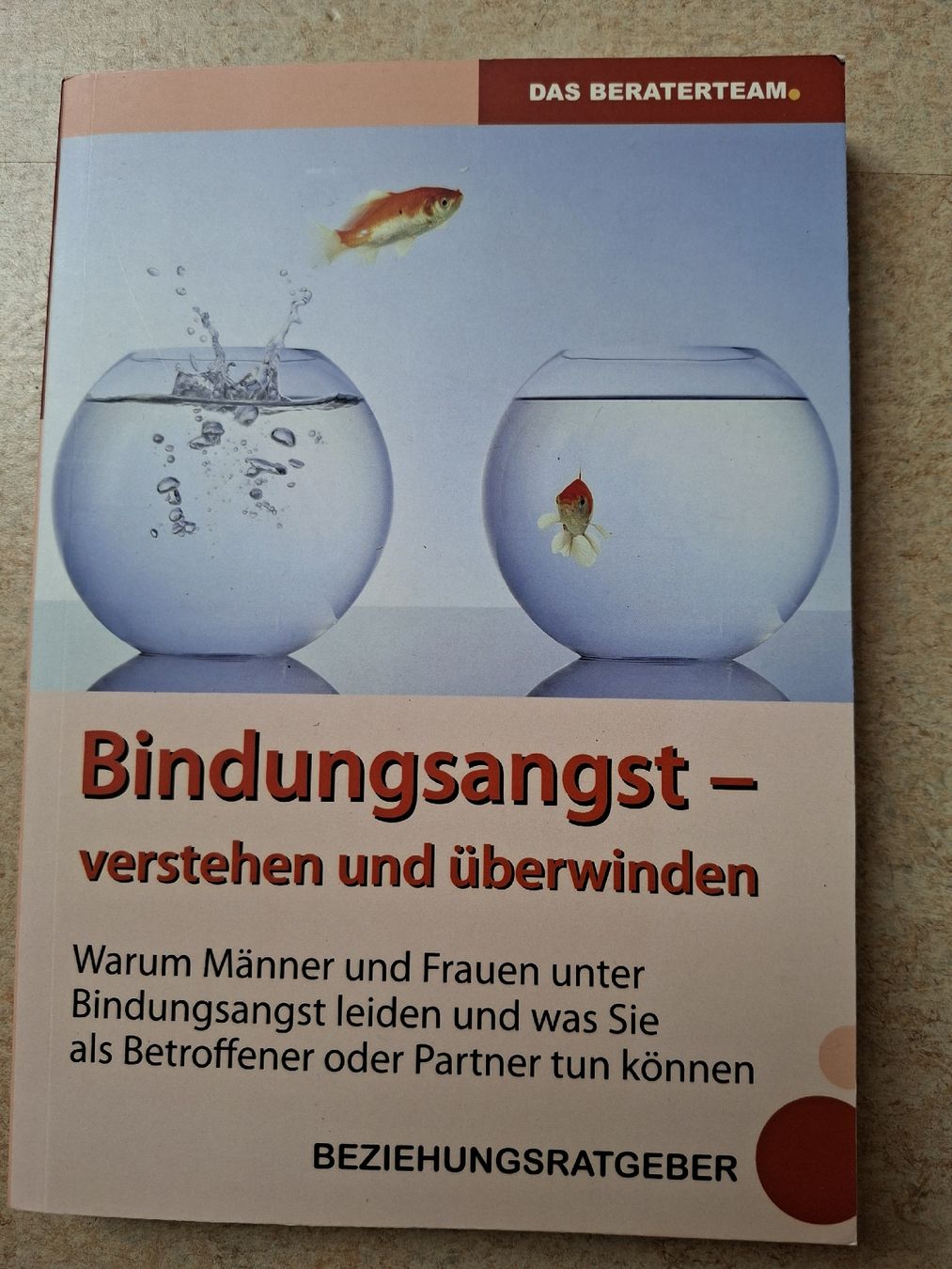 Libri: Bindungsangst verstehen & überwinden Ratgeber Buch 2012 – Usato da Klingnau venduto da vollmond36
