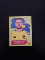 panini 2026 swe 4