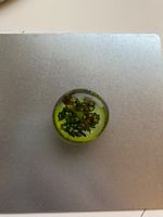 Magnet Magnifique - bouton en verre avec fleurs séchées