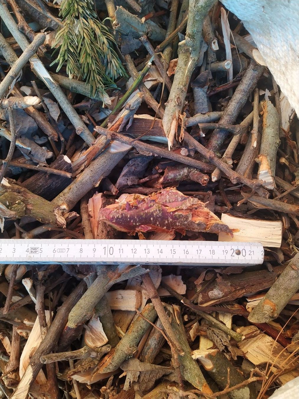 Trinciatrici: Holzhacker 15 cm – Usato da Kastanienbaum venduto da acapulco 6