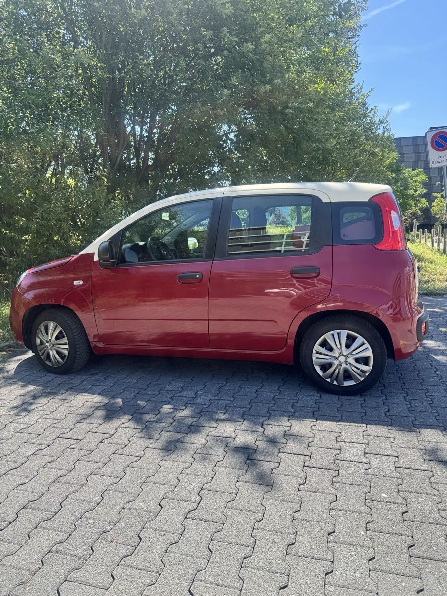Fiat Automobili: Fiat Panda 1.2 mit Backoffen – Usato da Zug venduto da c.sicardi