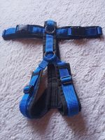 Anny-X Hundegeschirr Gr. M, blau/schwarz