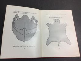 Die Behandlung von Häuten Fellen und Rohfett