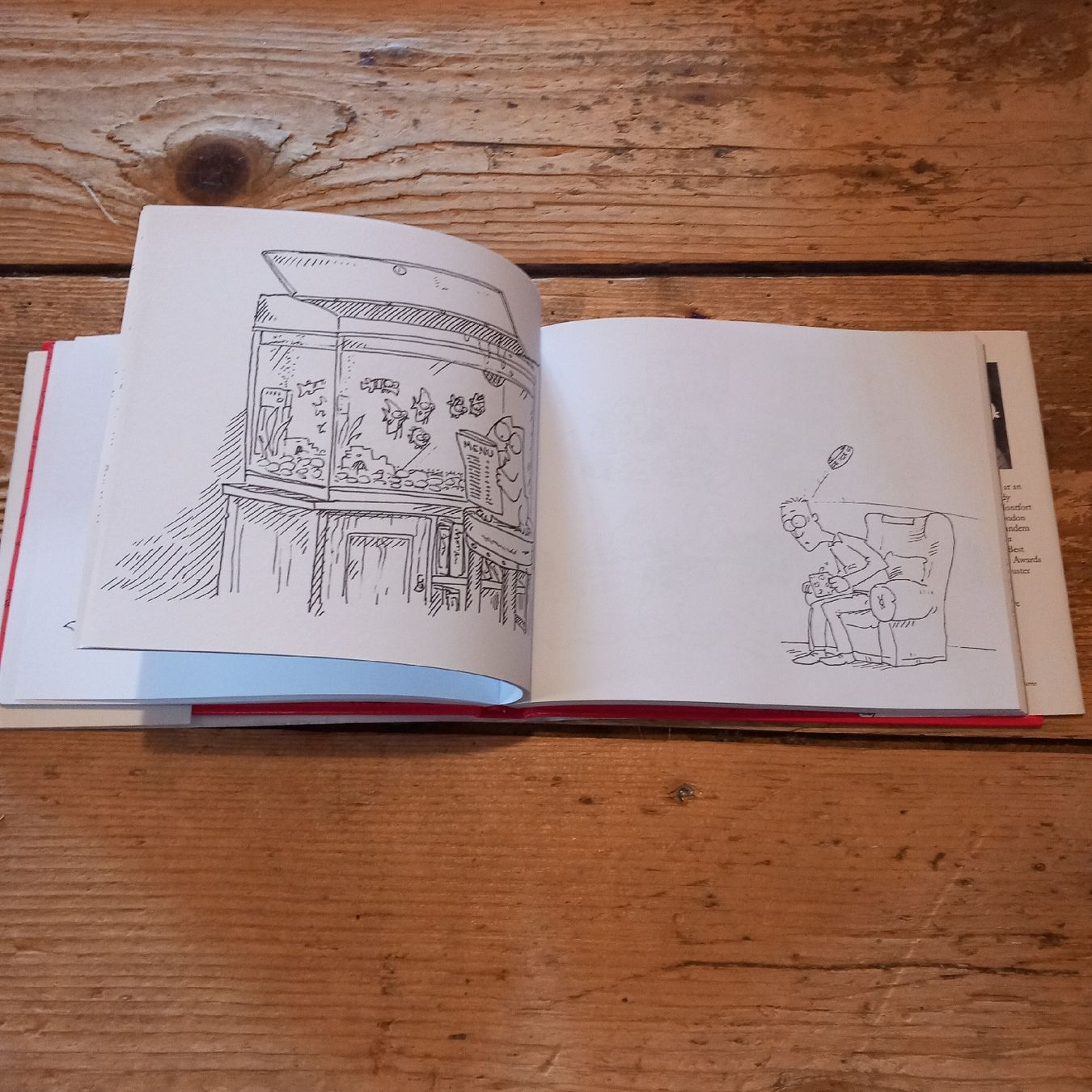 Libri: Simon's Cat – Usato da Ebnat-Kappel venduto da blazzi 3
