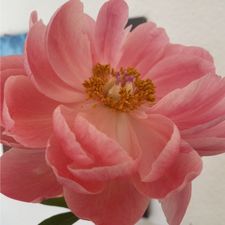 Profile image of ezrabrucker