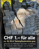 🎉 CHF 1.– 🎉 Pflastersteine für Gartenweg, Sitzplatz usw.