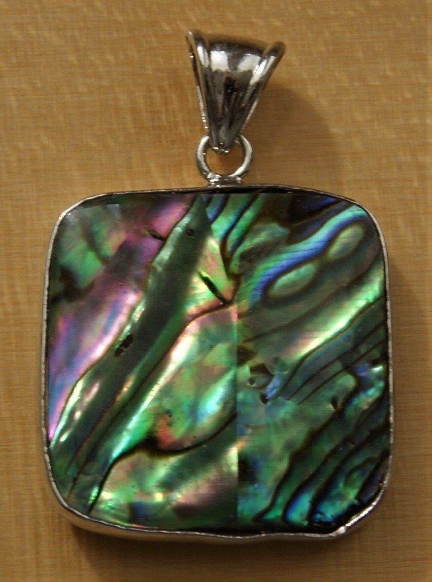 Anhänger: ABALONE-PAUA  Muschel-Anhänger – Neu (gemäss Beschreibung) aus Stadel von Wald100 1