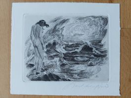 Exlibris Karl Blossfeld - Original Radierung signiert
