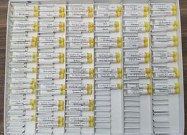 Keymer Testkasten Umwelttoxine für Bioresonanz/EAV