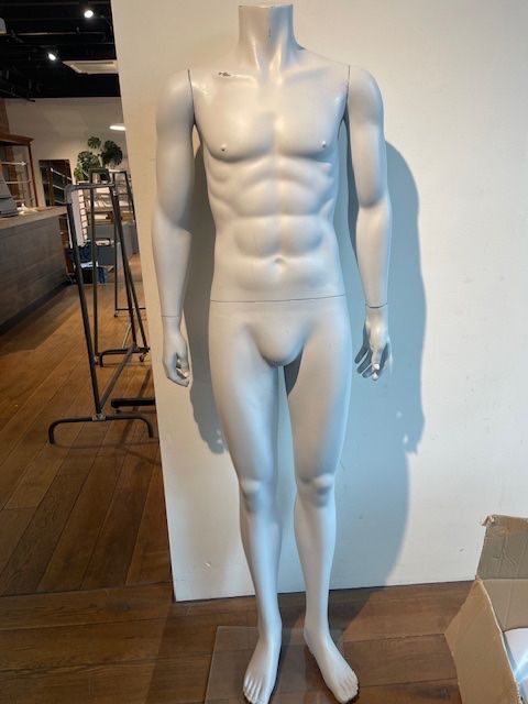 Sonstige Dekorationen & Accessoires: Mannequin hellgrau (männlich) – Gebraucht aus Basel von mat_nj5b