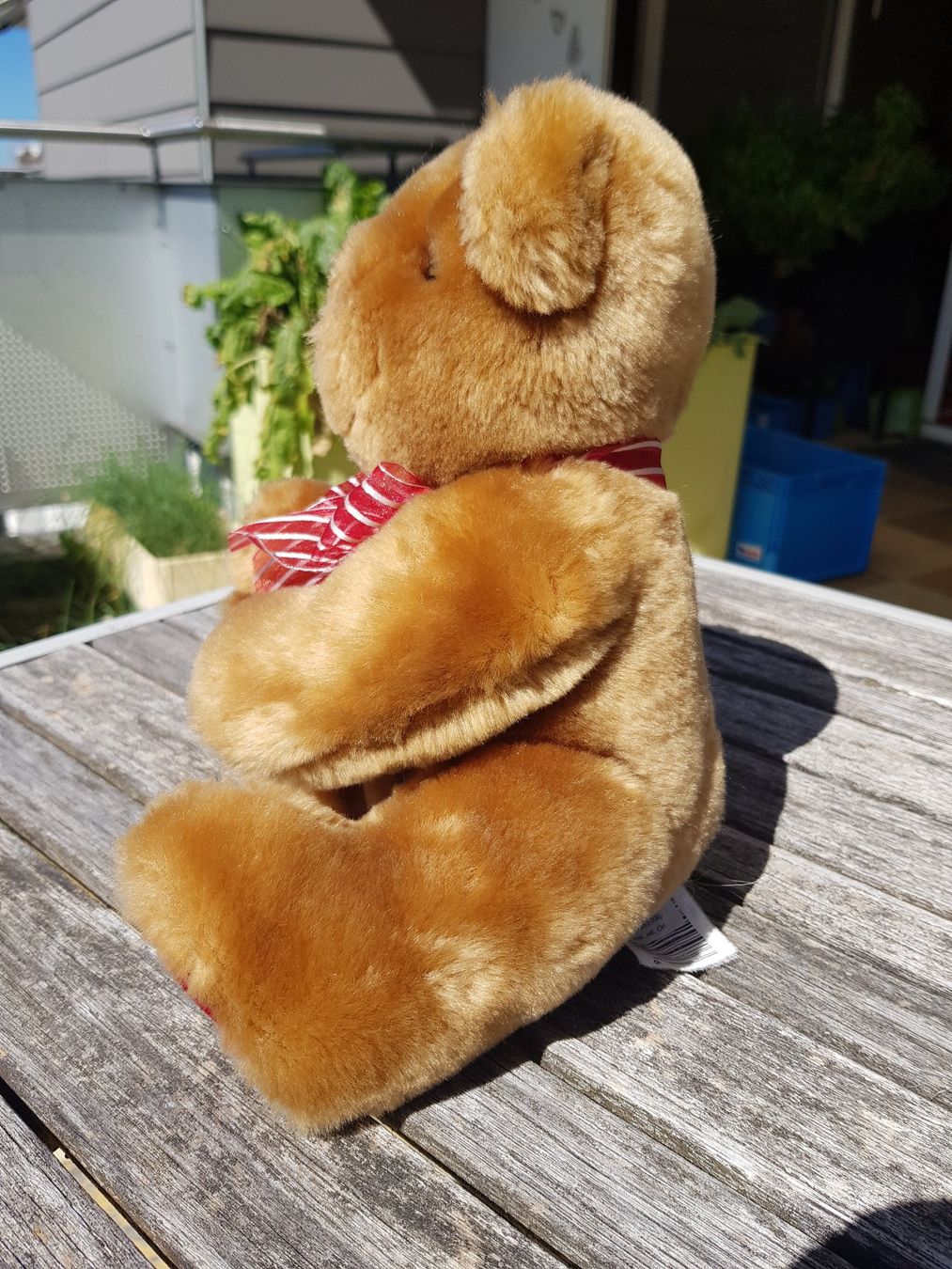 Spielzeuge: Plüschbär – Gebraucht aus Jona von dampfnuggi 1