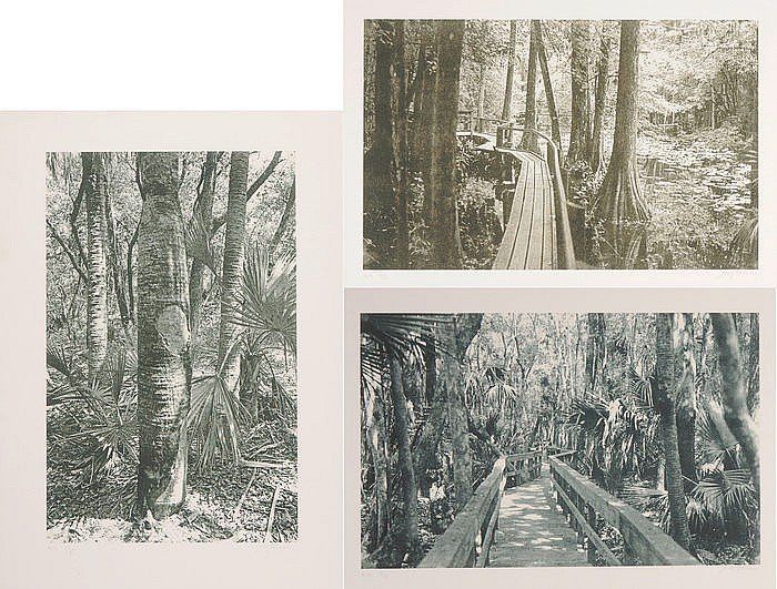 Grafica & Litografie: Lithographie Kunst, Signiert – Nuovo (secondo la descrizione) da Basel venduto da STrudi_9qvp 2