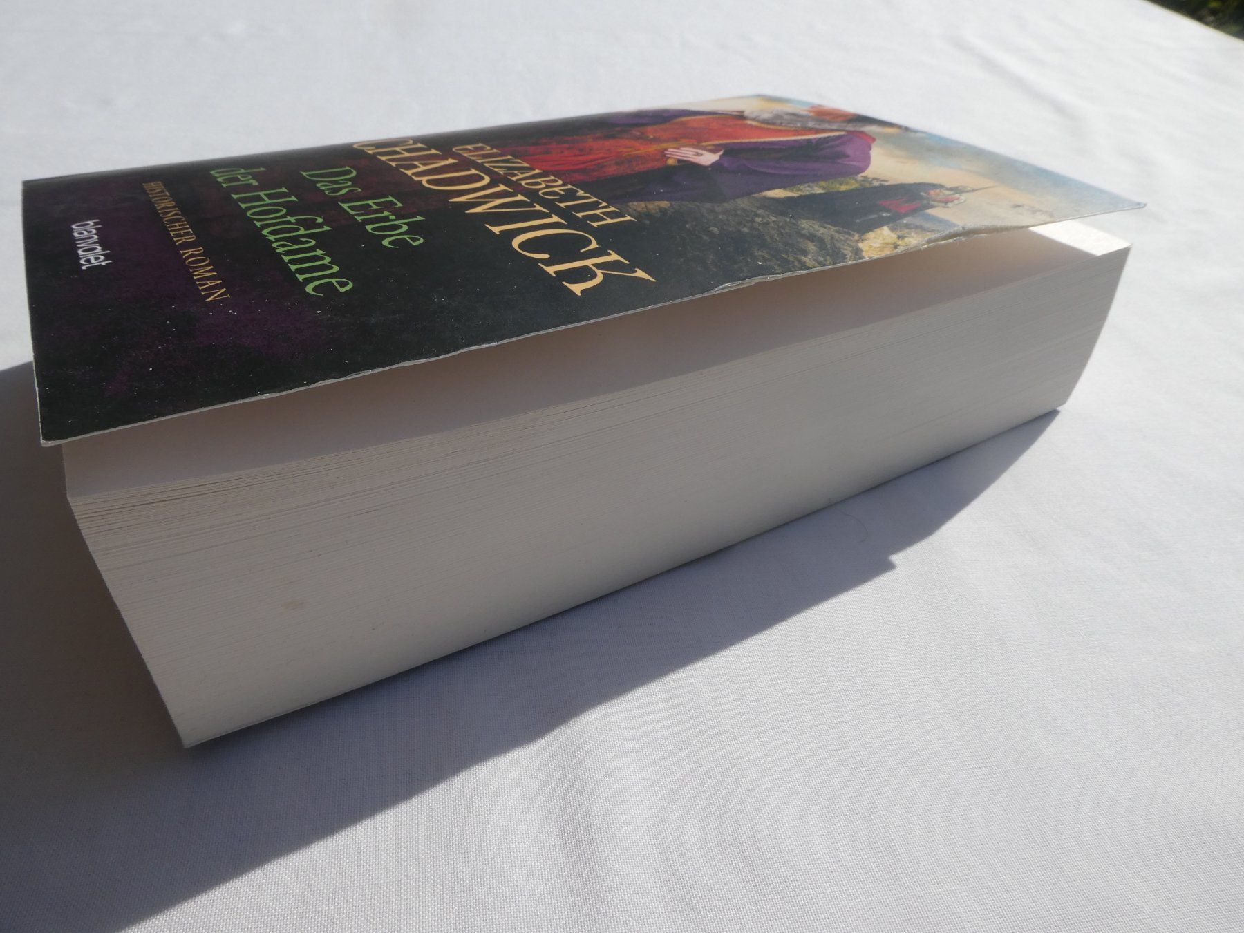 Libri: Das Erbe der Hofdame, von Elizabeth Chadwick – Nuovo (secondo la descrizione) da Gattikon venduto da kaandooh 2